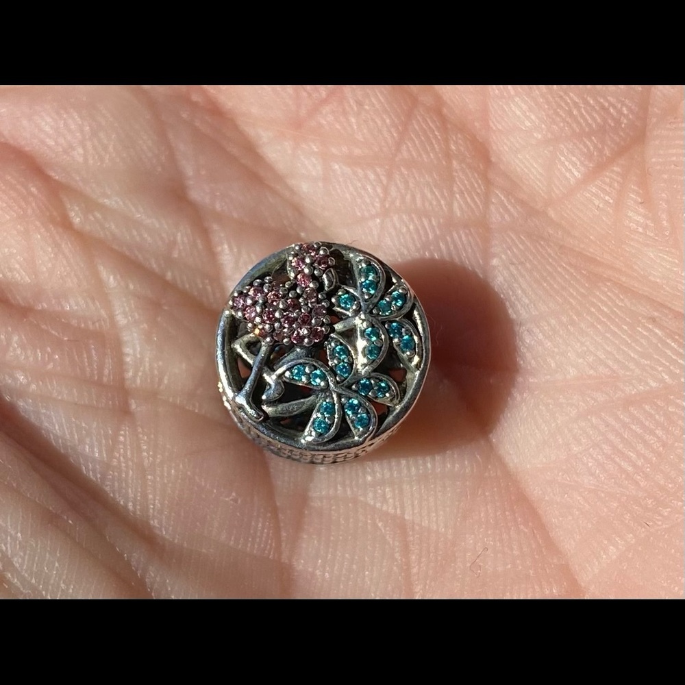 Pandora charm